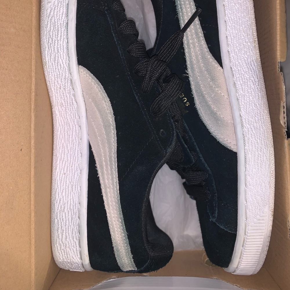 Pumas